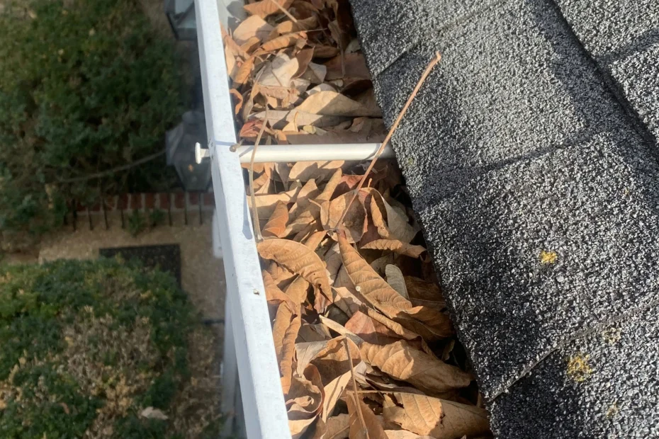 Cudahy Gutter Cleaning
